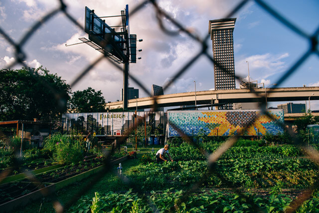 UrbanFarming_Wezel_VGH016-640