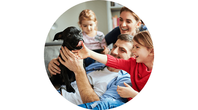 Familie mit Hund auf Sofa – wo viel los ist, kann viel passieren. Eine private Haftpflichtversicherung schützt.