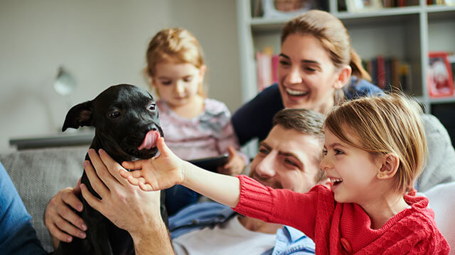 Familie mit Hund auf Sofa – wo viel los ist, kann viel passieren. Eine private Haftpflichtversicherung schützt.