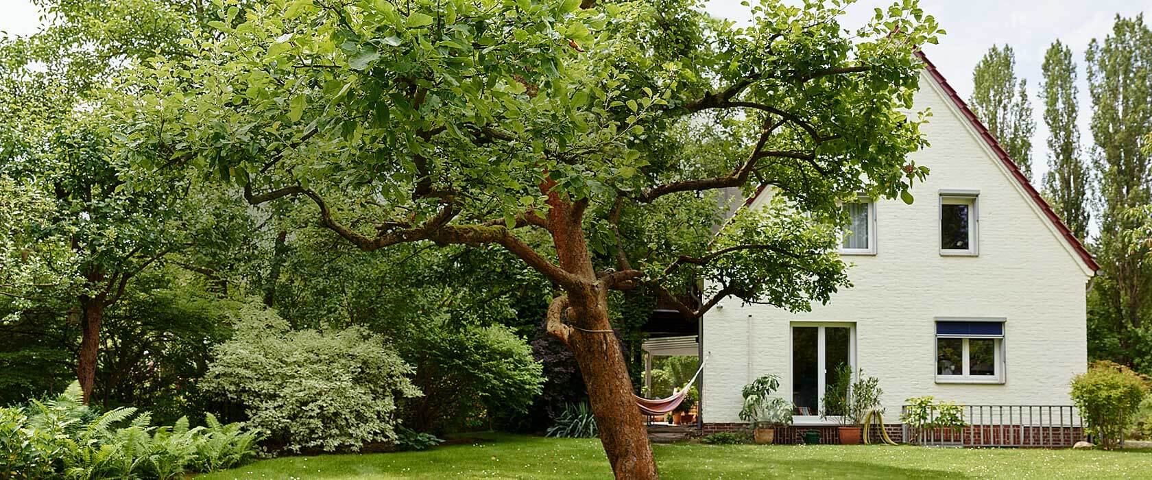 Einfamilienhaus hinter grünem Baum. Die Wohngebäudeversicherung ist notwendig für alle Haus-Eigentümer.