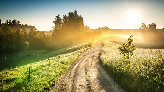Landschaft mit einem Schotterweg, Zäunen, grünen Wiesen und roten Scheunen unter einem bewölkten Himmel.