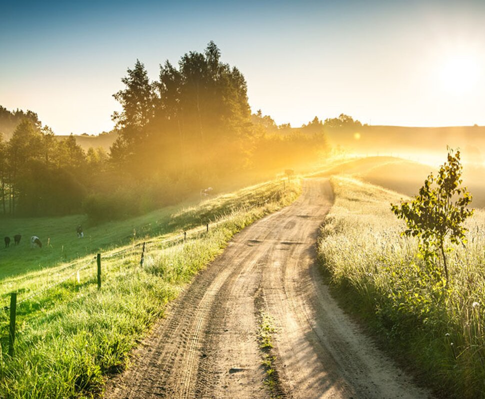 Landschaft mit einem Schotterweg, Zäunen, grünen Wiesen und roten Scheunen unter einem bewölkten Himmel.