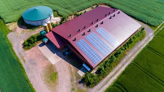 Ländliche Szene mit zwei Gebäuden am Weg entlang, umgeben von Wiesen und Bäumen unter einem bewölkten Himmel.