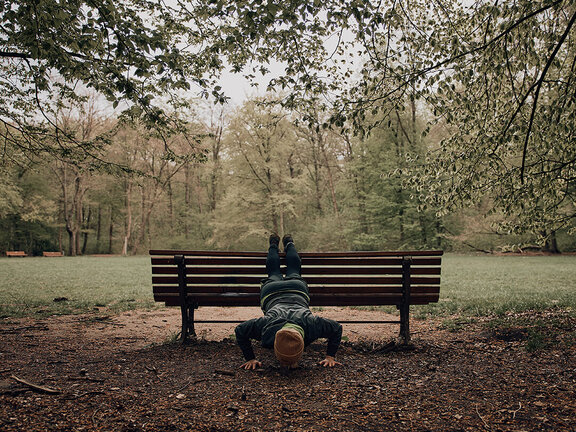 Person macht Liegestütze auf einer Bank in einer grünen Parklandschaft, umgeben von Bäumen und Wiese.