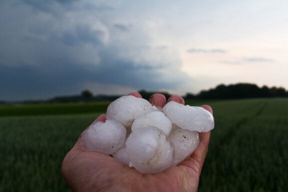 Eine Hand hält zahlreiche etwa golfballgroße Hagelkörner. Unscharf im Hintergrund sind ein Waldrand un darüber eine abziehende Sturmfront zu sehen.
