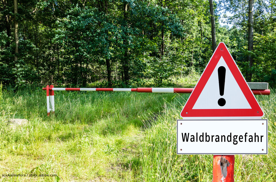 Man sieht den beschrankten Zugang in ein Waldgebiet. Im Vordergrund ein dreieckiges Warnschild mit rotem Rand und Ausrufezeichen, darunter der Hinweis "Waldbrandgefahr".