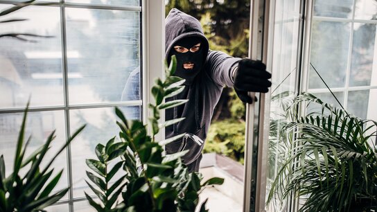Maskierte Person schlüpft durch eine offene Fenster-Tür, umgeben von Pflanzen. Spannung und Gefahr sind spürbar.
