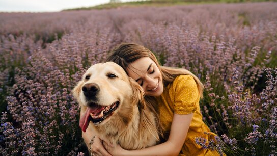 Eine Frau in einem gelben Kleid umarmt einen Golden Retriever inmitten eines lila Lavendelfeldes. Beide lächeln glücklich.