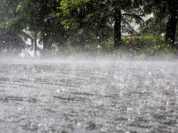 Starker Regenfall lässt Wasserpfützen auf einer Straße entstehen, umgeben von grünen Bäumen und bunten Blumen.